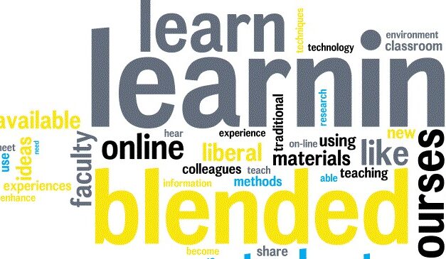 Opleidingen blended leren – najaar 2017