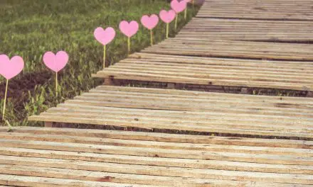 Experts, verbinders.. waar gaat het om in de toekomst?