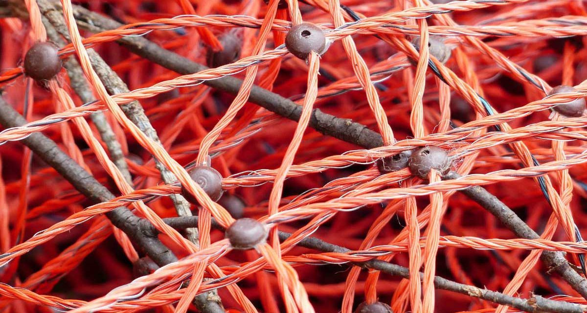 Social media are moving organisations from Hierarchy to Wirearchy