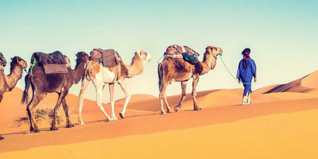 Waarom zou je meedoen aan onze MOOC? Je weet straks alles over knowmads!