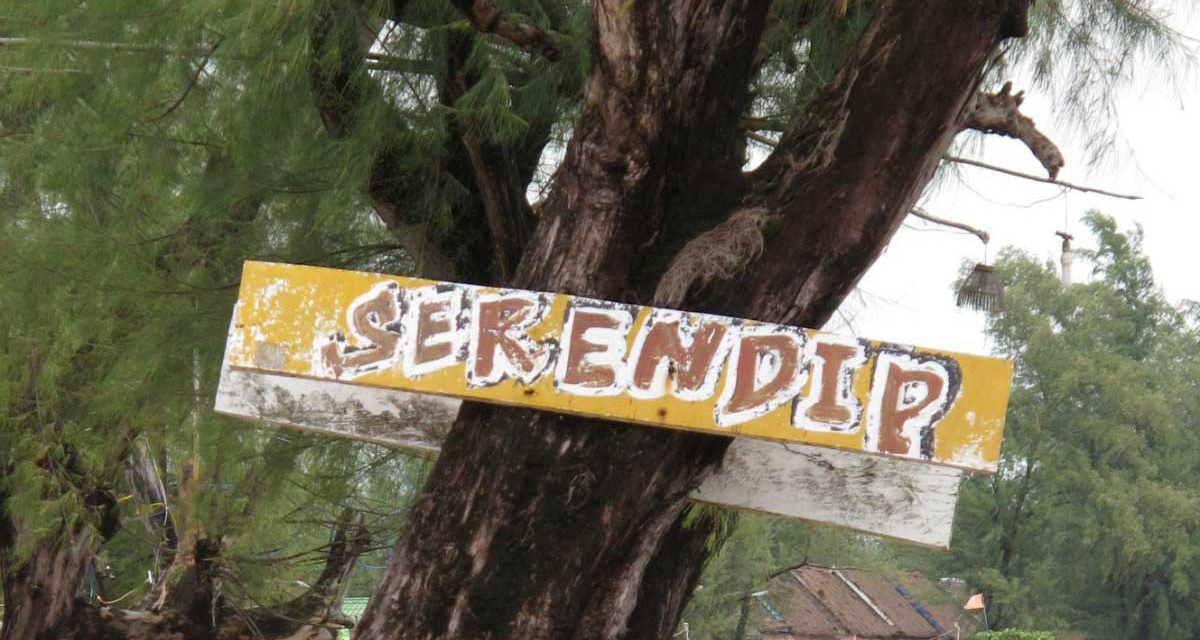 Serendipitous learning – webinar met Jane Hart