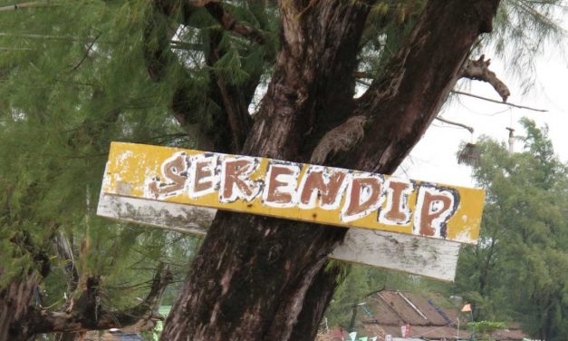 Serendipitous learning – webinar met Jane Hart