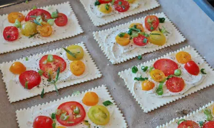 Micro-learning: hapklare brokken als didactisch concept