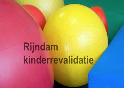 Blended inwerktraject voor nieuwe medewerkers bij Rijndam revalidatie