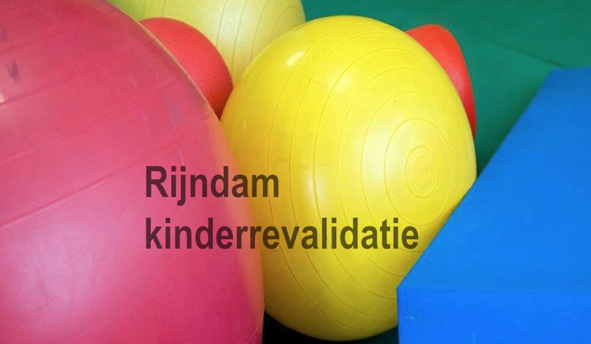 Blended inwerktraject voor nieuwe medewerkers bij Rijndam revalidatie