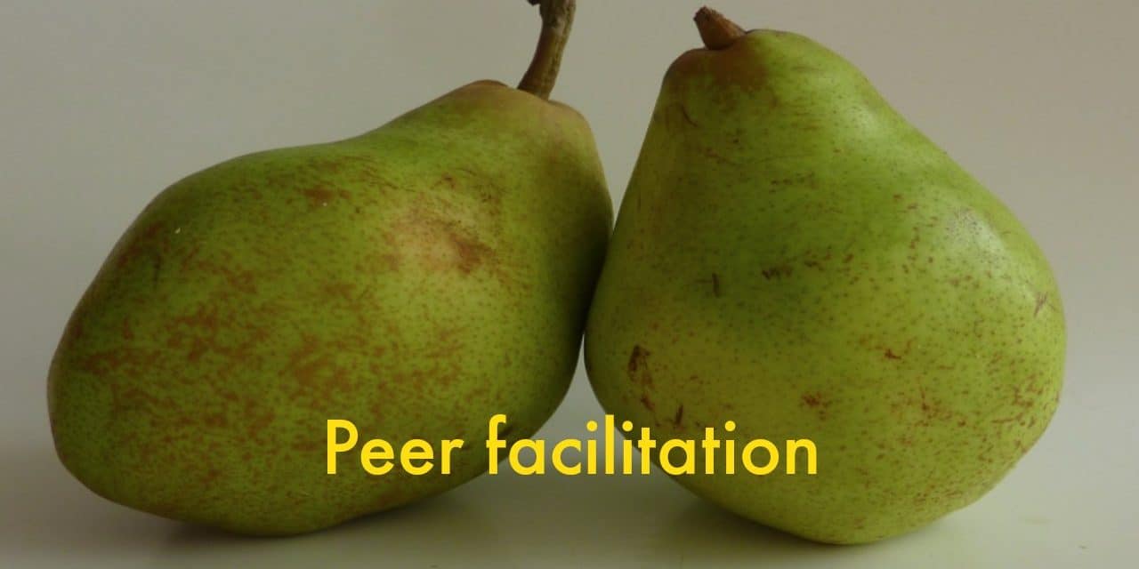 Jij of zij centraal? Hoe je met peer-facilitation betere online discussies krijgt