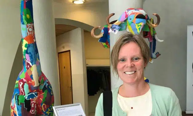 Alles kan online: Hoe faciliteer je een creatieve online sessie?