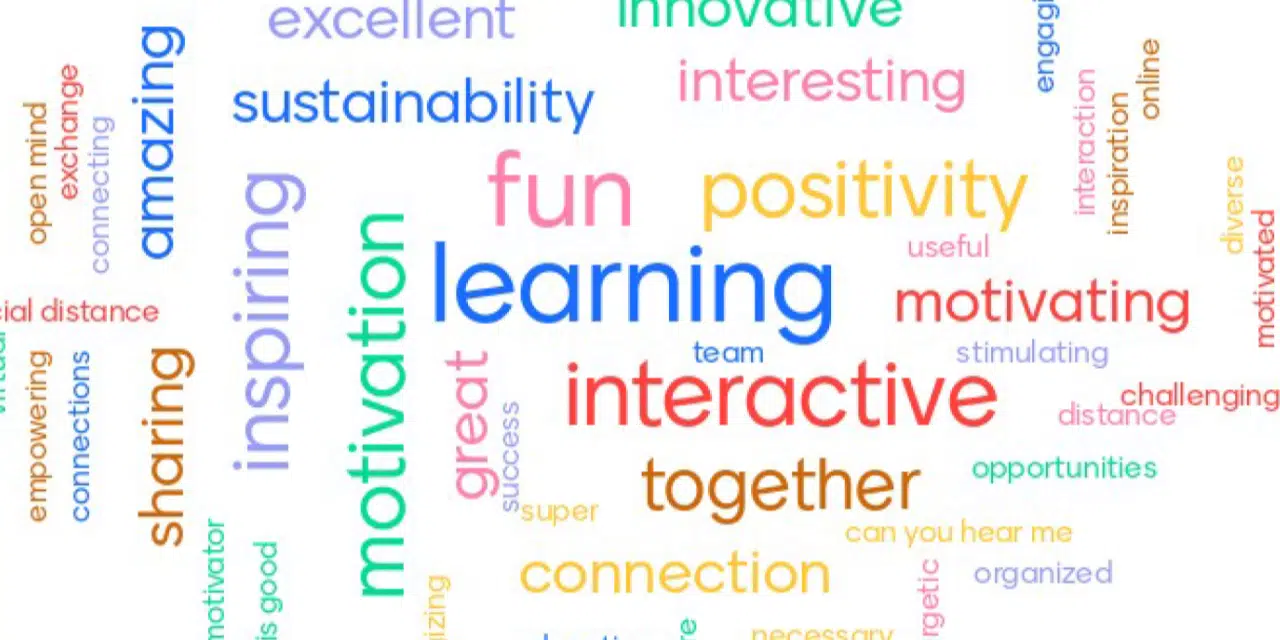 Een week lang online faciliteren: super leuk!