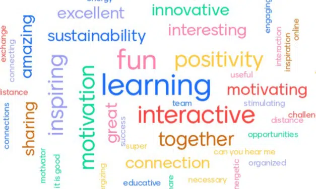 Een week lang online faciliteren: super leuk!