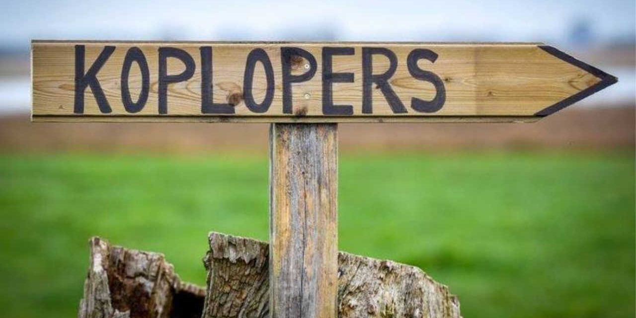 De 5 typen knowledge transfer van Nancy Dixon