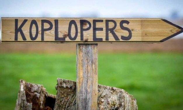 De 5 typen knowledge transfer van Nancy Dixon