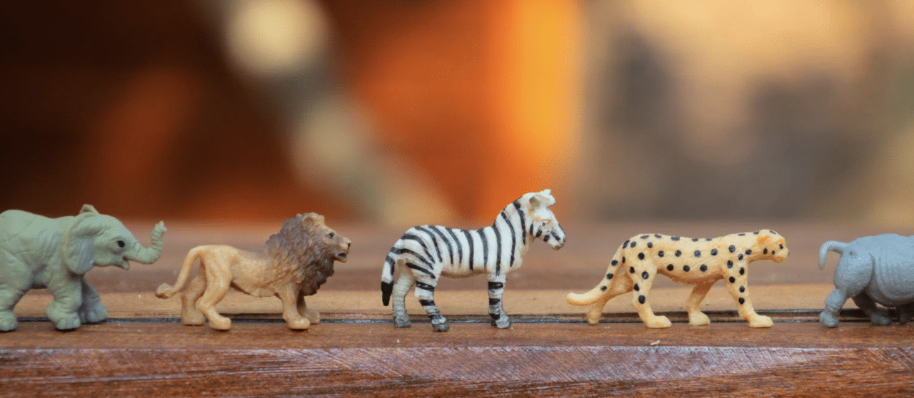 Duik in je doelgroep: verschillende typen deelnemers in je blended training