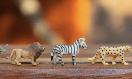 Duik in je doelgroep: verschillende typen deelnemers in je blended training